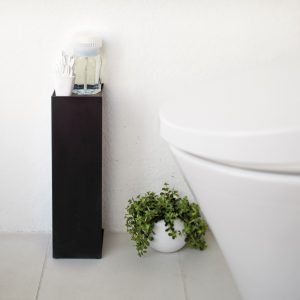 Toilet paper roll holder with concealed storage and display